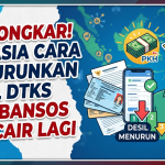 Terbongkar! Ini rahasia cara menurunkan desil DTSEN